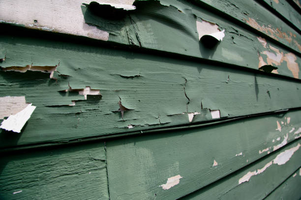 Best Hoarding Cleanup  in Greendale, IN