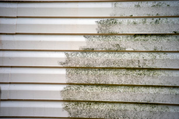 Best Residential Junk Removal  in Greendale, IN