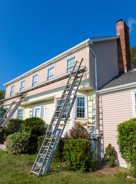 Best Basement Cleanout  in Greendale, IN
